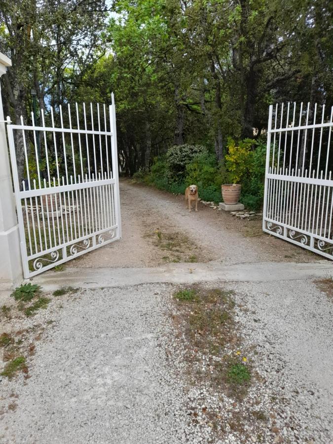Villa Le Bosquet En Luberon. 메네르브 외부 사진